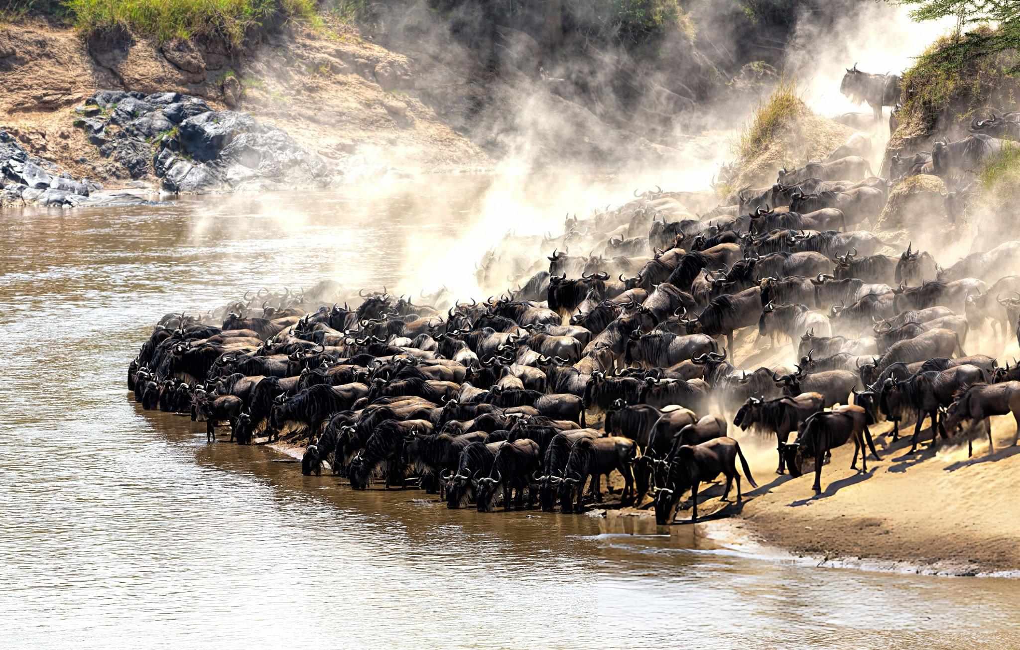 River Crossing
